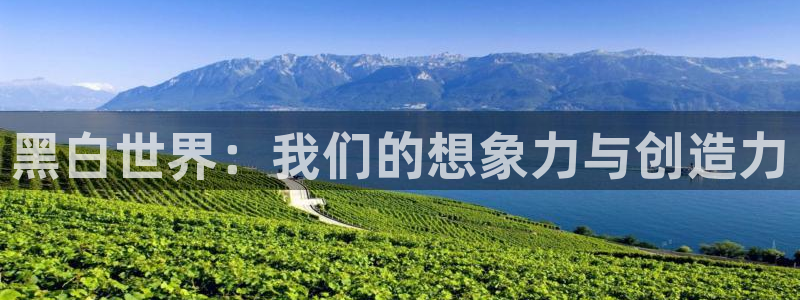阿衰漫画免费下拉式奇漫屋漫画：黑白世界：我们的想象力与创造力